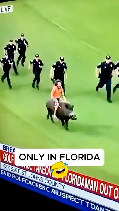 Florida Man Leads Police on a Wild Golf Course Chase 🐗⛳ #shorts - YouTube