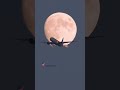 Boeing 777 Crossing The Moon Boeing 777 Crossing The Moon