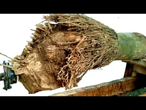Hasilkan karya  cantik dari  akar bambu  YouTube