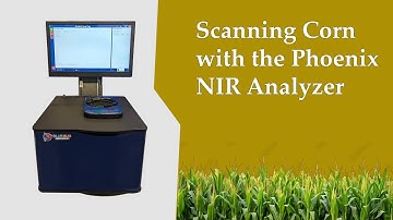 Scanning Corn on the Phoenix Top Window NIR Analyzer