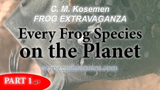 EVERY FROG SPECIES ON THE PLANET! Part 1 of 7 🐸