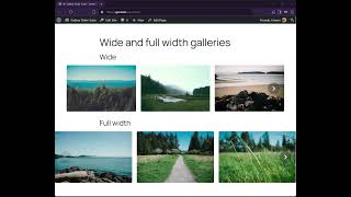 Gallery Slider Suite - Responsive Sliders for WordPress