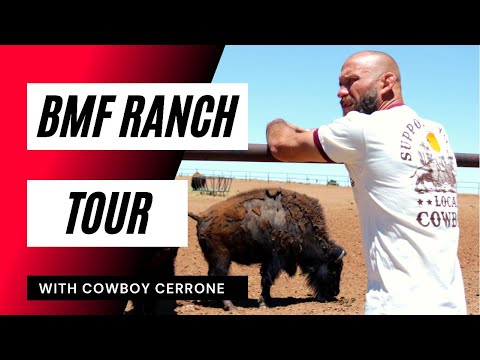 Take a tour of the BMF Ranch