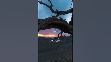 آيات تشرح الصدر🤍