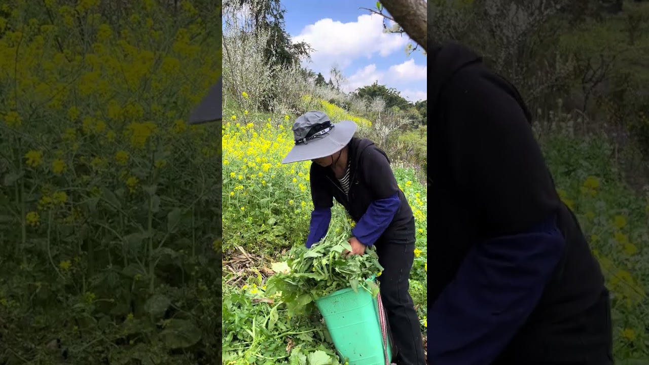 Ditch the Fried Noodles - My Surprising Dinner Swap