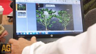 Starter fertilizer safe for soybeans