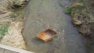 Will it float 01