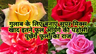 गुलाब में सैकड़ों फूल लेने के लिए बनाएं सुपर मिक्स खाद | Best Fertilizer for Rose Plant | fertilizer