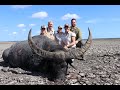 Australia Water Buffalo Hunt