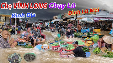 Chợ VĨNH LONG: Báo Động, Chạy Lũ, Nước Lên Thần Tốc Đỉnh Lũ Mới Xuất Hiện Ngập Bình Địa Nhà Dân