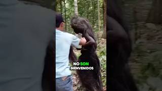 Las Islas Más Peligrosas Del Mundo