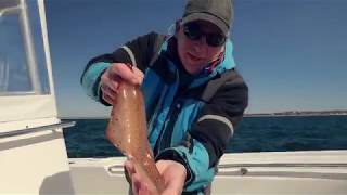 Nantucket Sound Spring Squidding Brought to you by New England Fishing & Goose Hummock Shops
