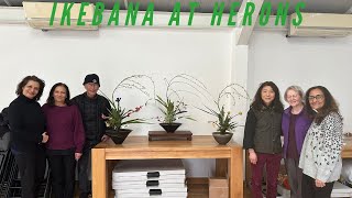 Ikebana At Herons by Herons Bonsai 5,842 views 2 months ago 10 minutes, 18 seconds