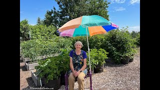 Best Garden Tools: Everyone Can Grow a Garden (2023) #26