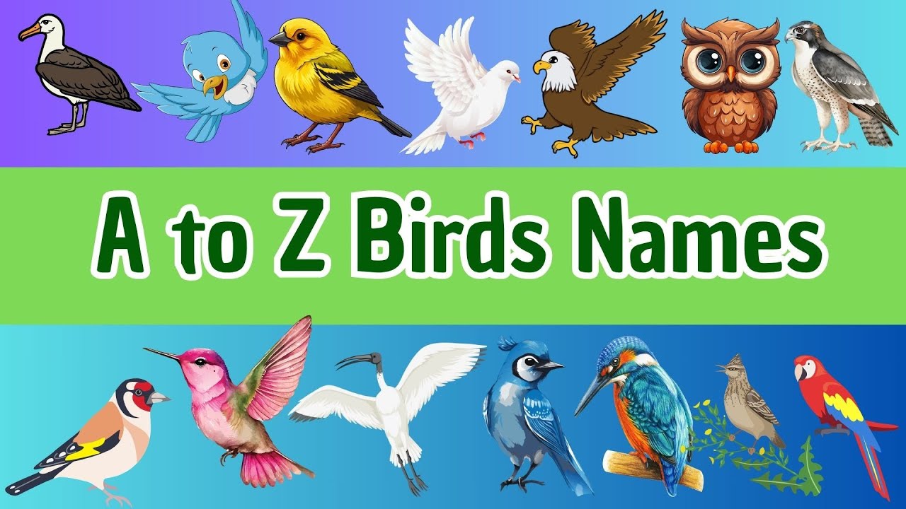 A to Z Birds for Kids | Fun Bird Names from Albatross to Zebra Finch |Learn the Alphabet with Birds