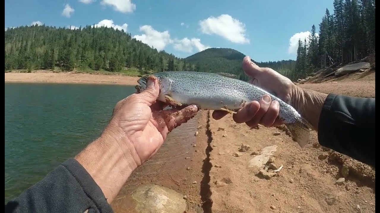 9 Fishing Spots near Colorado Springs
