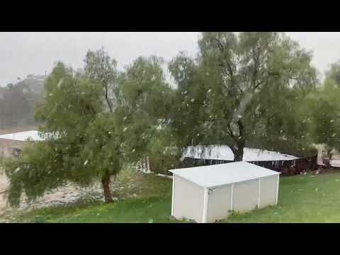 Surprise Snow, Rain and Cold at Lazy Oaks Ranch - Rare Event Captured on Camera!