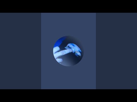 $peedy is live!