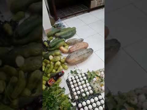 Video Thực Phẩm Bẩn Tại Trường Tiểu Học Lý Nhân - Vĩnh Tường... - YouTube
