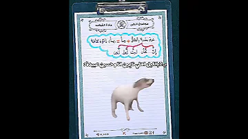 بال2 باليل اهلك نايمين انت ويا حسين عبيدة طلاب السادس اكسبلور احيائي Study سادسيون تحفيز 