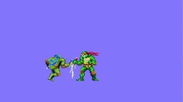TMNT Quick Raph VS. Leo Fight!