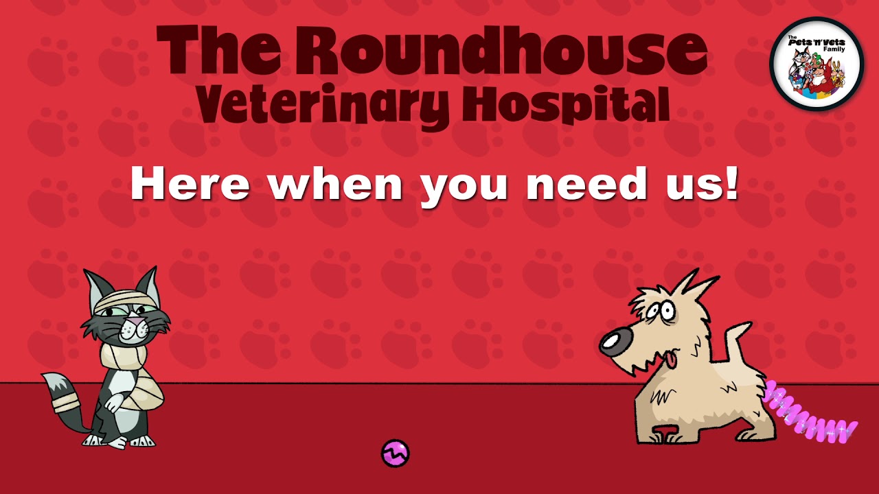roundhouse vet