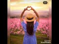 Aye dil laya h bahar khushi ka khumar kya kehna 💓whatsapp status Whatsapp Status Video Download Free