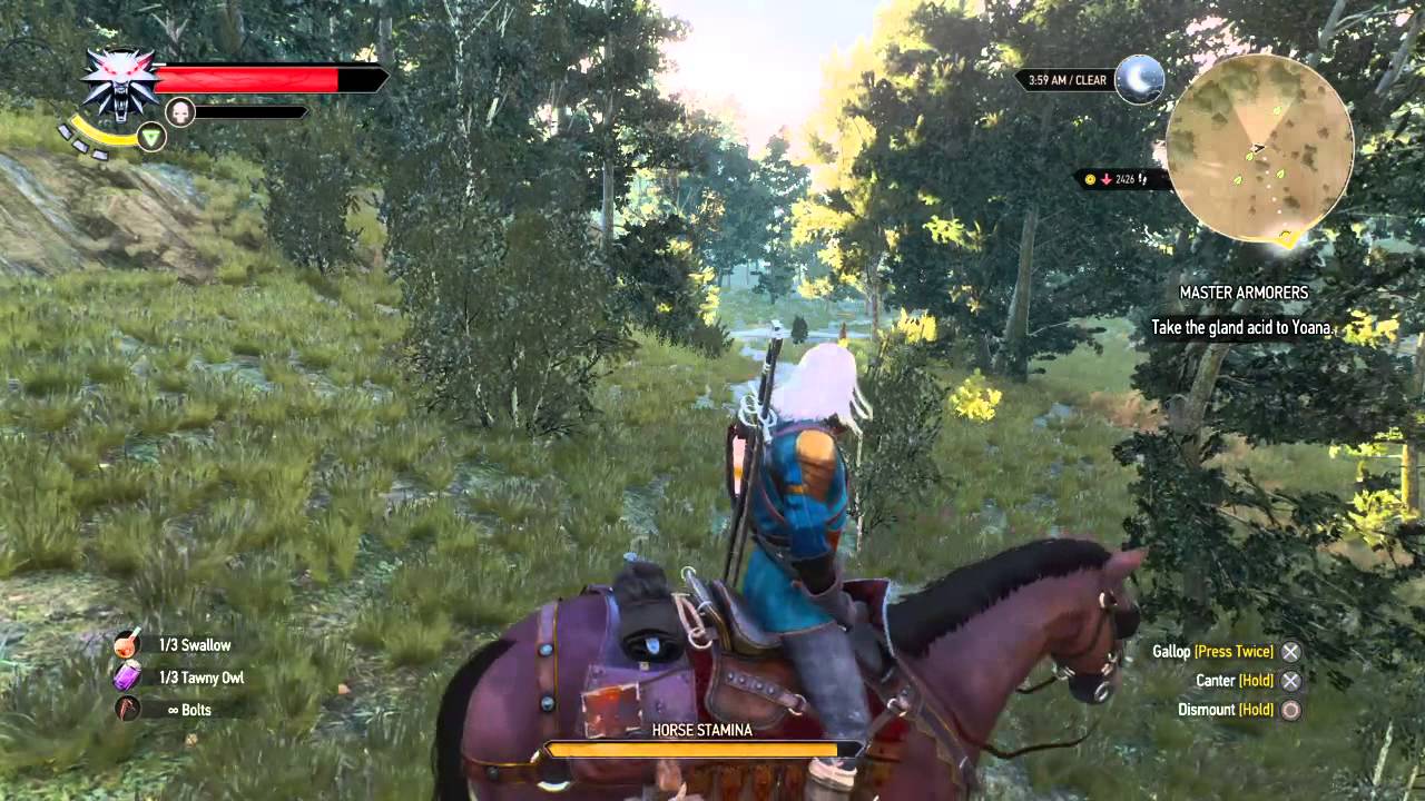 What happens when you reach the end of the witcher map
