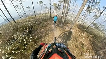 Insta360 ONE - Mountain Biking In The Forest