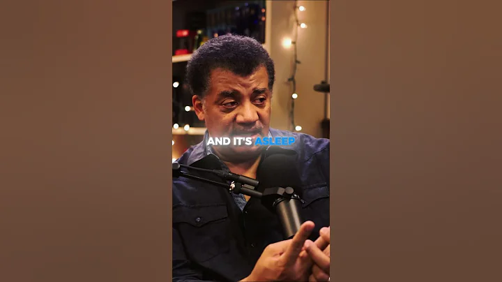 Schrödinger's cat explained by Sean Carroll. #neildegrassetyson