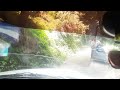 Way to Kalatop Himachal Beautyfull Path #nature #subscribe #punjabhills