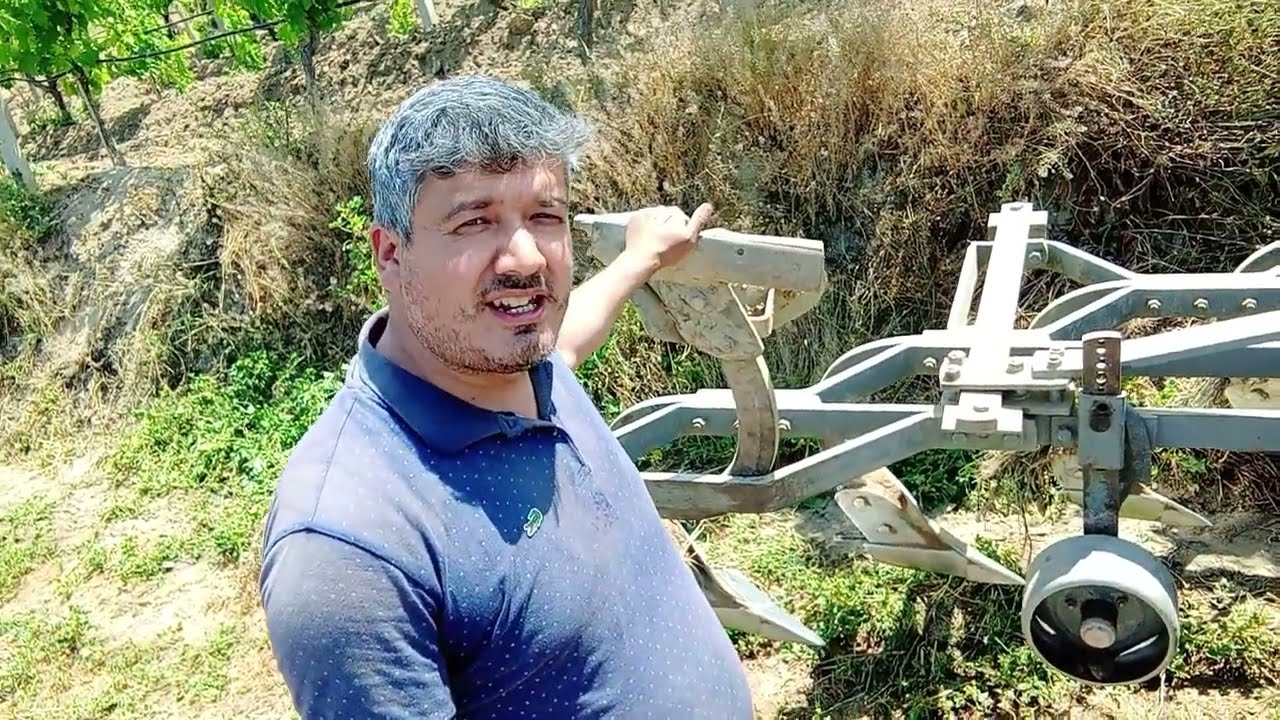 Üzümlerde sürek için pulluk ile sürme, bağda dip kapama 4 pulluk ile sürüm