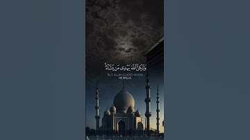 #قرآن #قران_كريم #القرآن_الكريم #القرآن #سورة_القصص #آيات #تلاوة_خاشعة #تلاوة #quran #quran_kareem