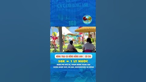 Nông trại cá rồng kết hợp du lịch sinh thái duy nhất trên thế giới cho khách xem thu hoạch cá rồng