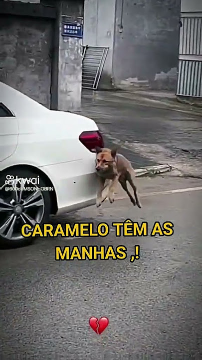 E malandro e ' malandro e mane e' mane - refrão de bezerra da silva