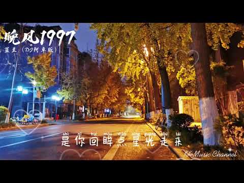 蓝兰 - 晚风1997（DJ阿卓版）『同你共渡每晚 从此不再孤单』 【动态歌词/Pinyin Lyrics】