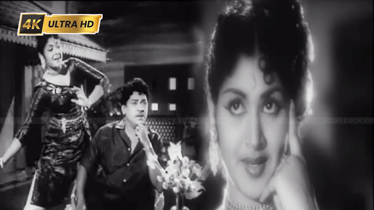 Jamuna Rani என்னைப் பாரு பாரு. பாடல் | Ennai Paaru Paaru song | K. Jamuna Rani | K ...