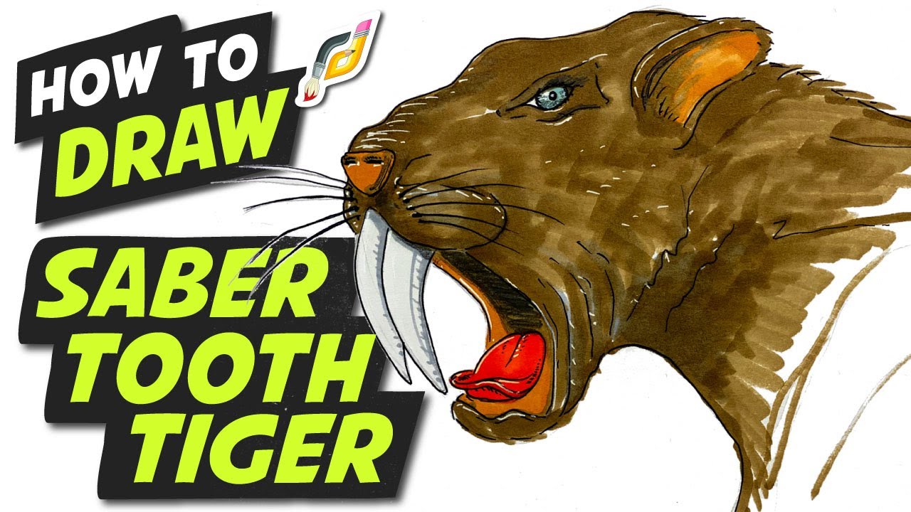 How to Draw SABER TOOTH TIGER - Fun Easy Simple - Beginner - YouTube