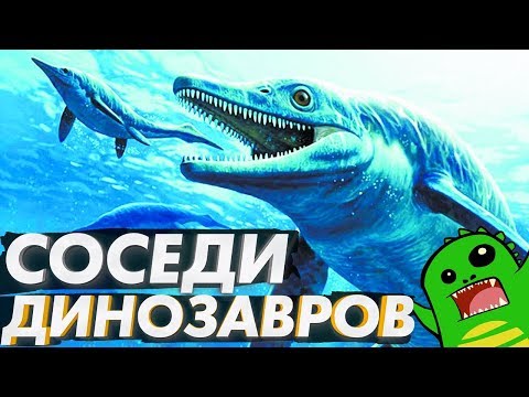 Вопрос: Какой формы почки большинства млекопитающих?