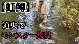 道央河川でモンスター炸裂【北海道釣り】#北海道釣り #ニジマス