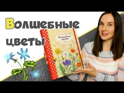 СОБИРАЕМ ГЕРБАРИЙ ♥ Волшебные цветы ♥ Детские книги