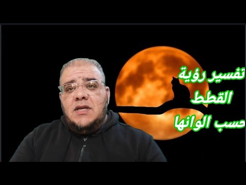 تفسير رؤية القطط حسب ألوانها في المنام  761