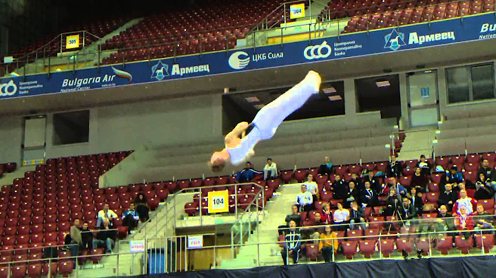 Jonas NORDFORS (SWE) -- 2013 Trampoline Worlds, Qu...