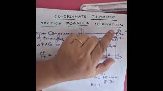 The SECTION FORMULA trick you will never Forget 🔥🔥🔥