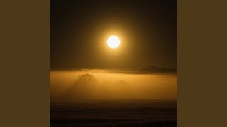 Golden Moonlight In Silence