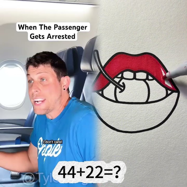 #USA #America When The Passenger Gets Arrested #passenger #airplane #customer #shorts