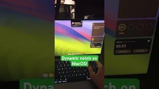 Dynamic notch for Mac!