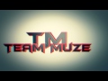 Intro for team muze