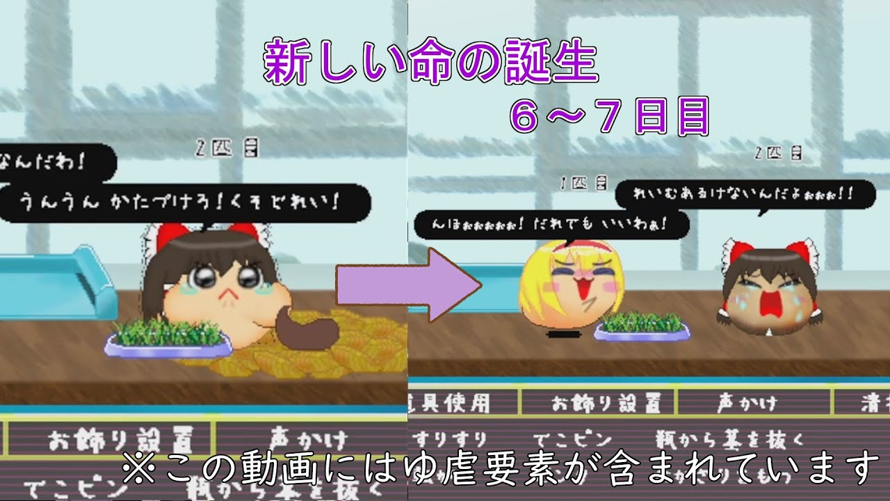Yukkuri Hakkei] He's a sleazy guy, but he seems to have maternal