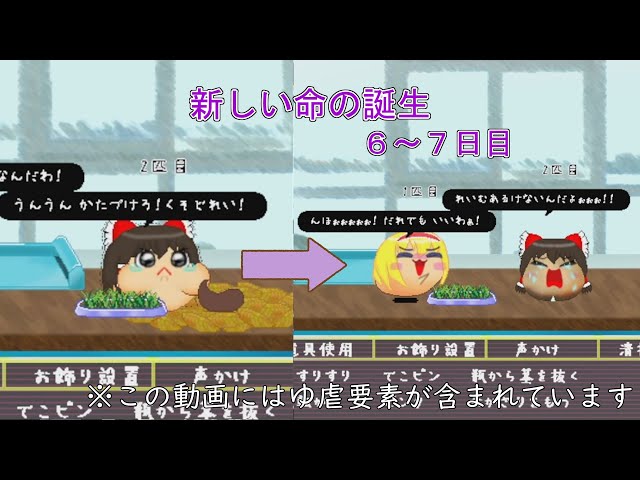 Yukkuri Hakkei] He's a sleazy guy, but he seems to have maternal